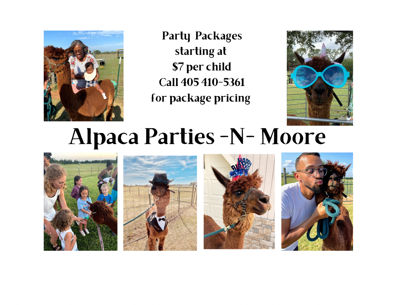 alpacas parties n moore.png