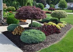 Choosing between a landscape designer vs. landscape architect is essential for a superior result