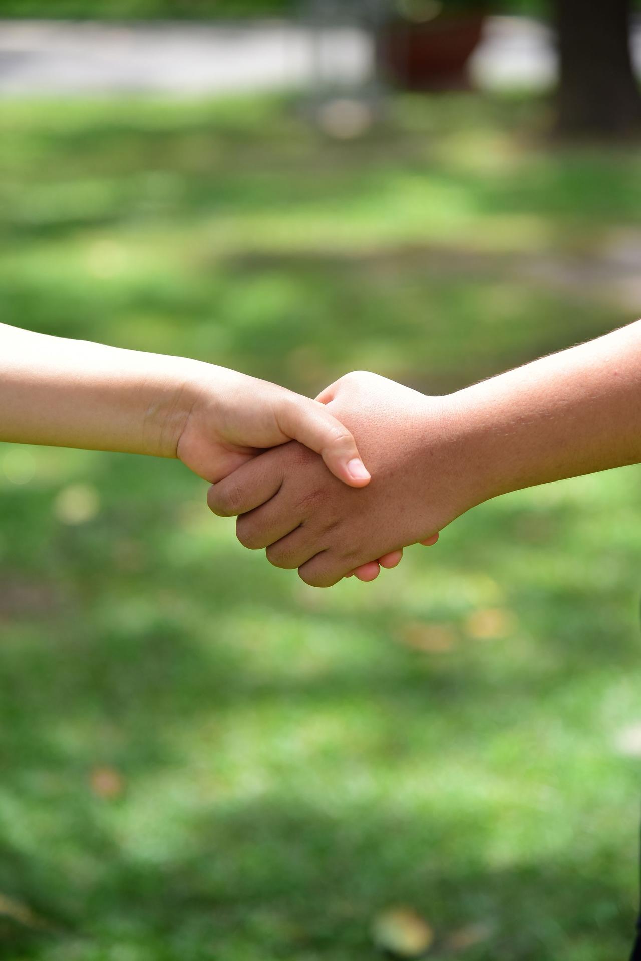Two people shaking hands on a sunny day in a park, symbolizing cooperation or agreement.