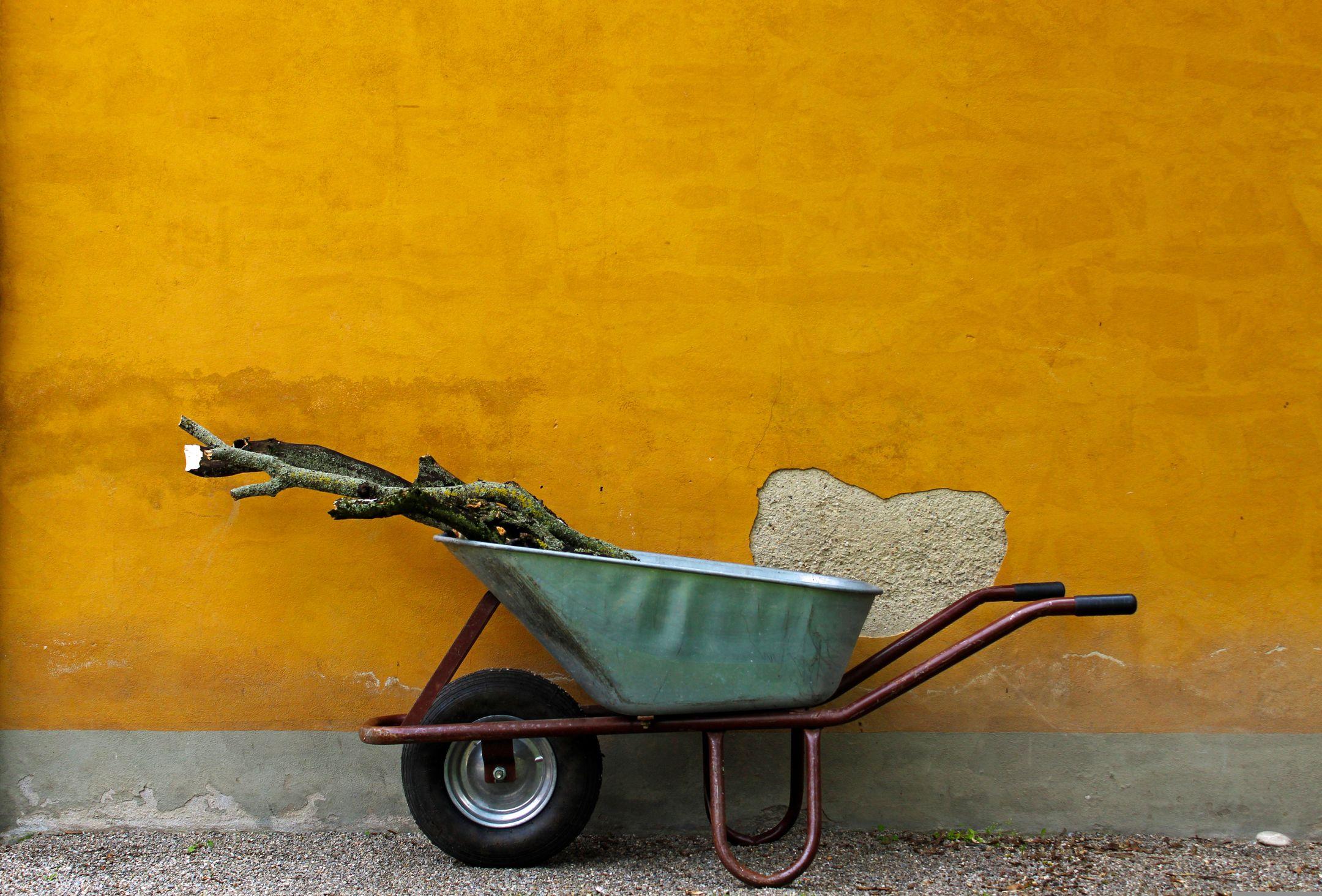 A wheelbarrow filled with logs rests by a bright, textured wall in Augsburg, Germany.