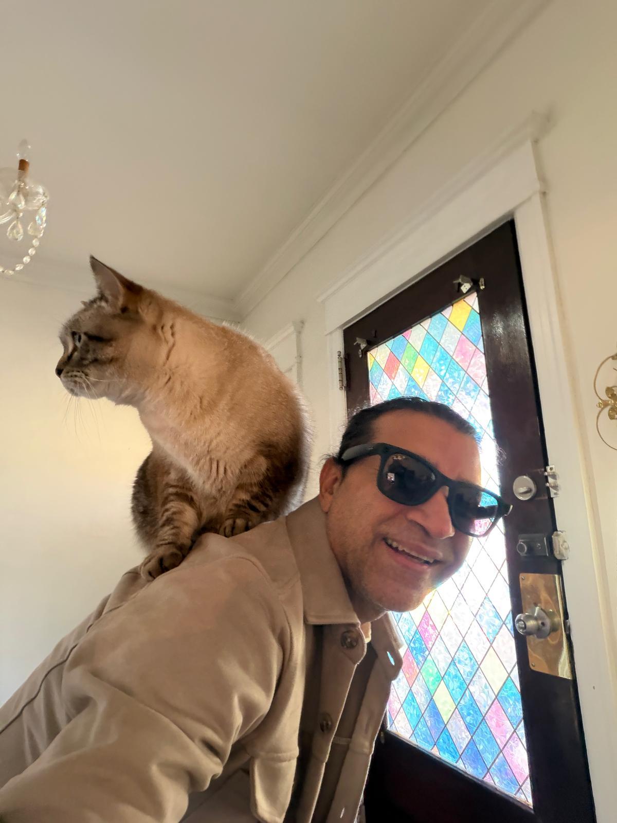 Kitty Cat Media studio
