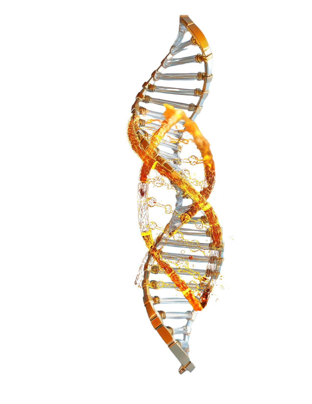 untitled design-4.jpg