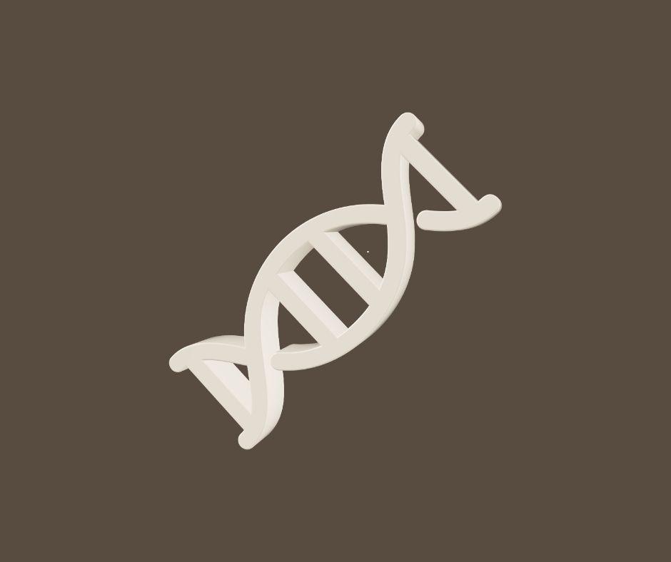 untitled design-4.jpg