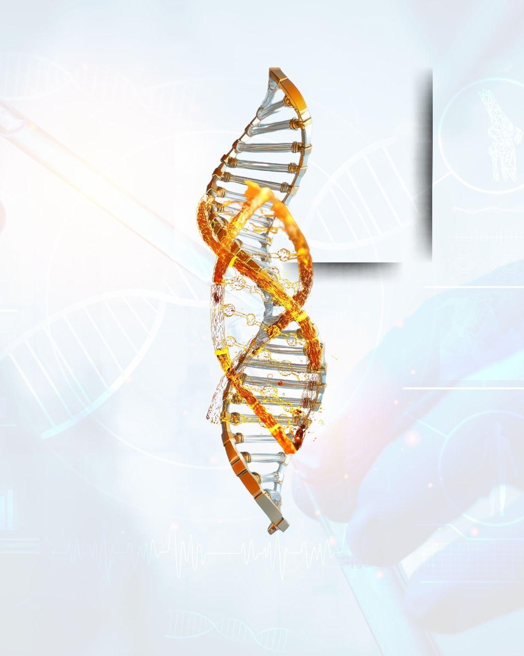 untitled design-4.jpg