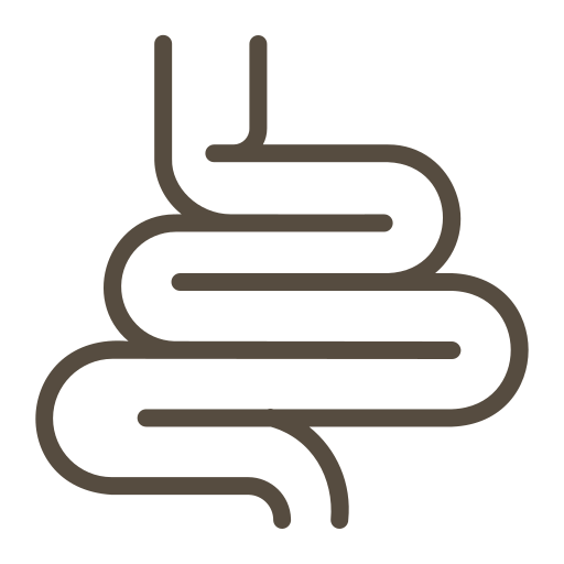 intestine.png