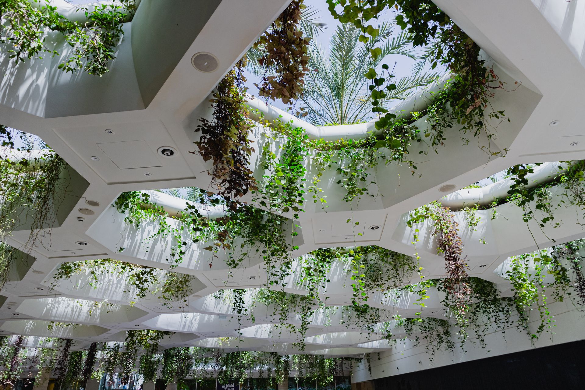 What Is Biophilic Design?