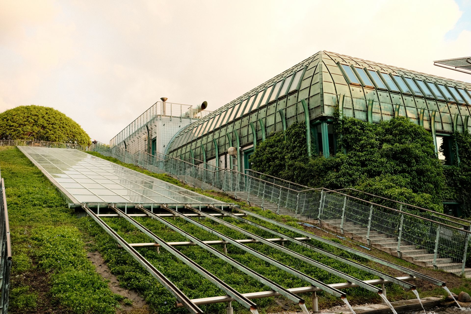 7 Biophilic Design Principles