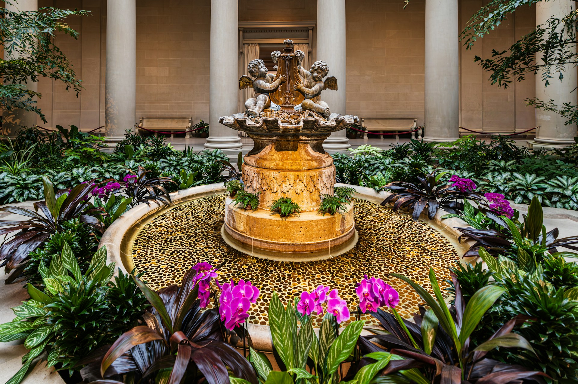 Water feature and planting