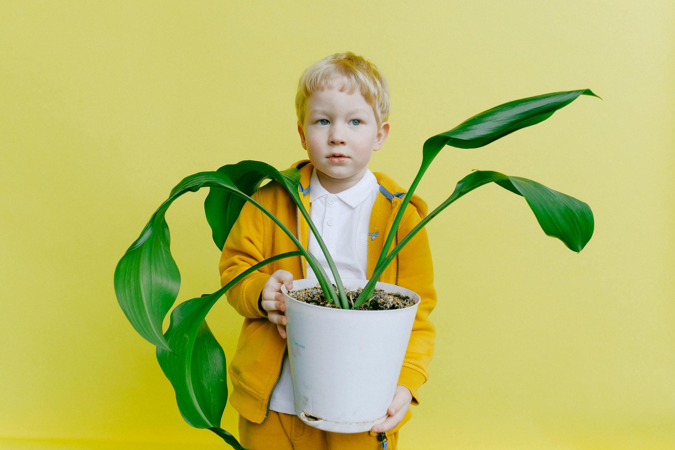 A child in a yellow jacket holding a green houseplant against a yellow background.