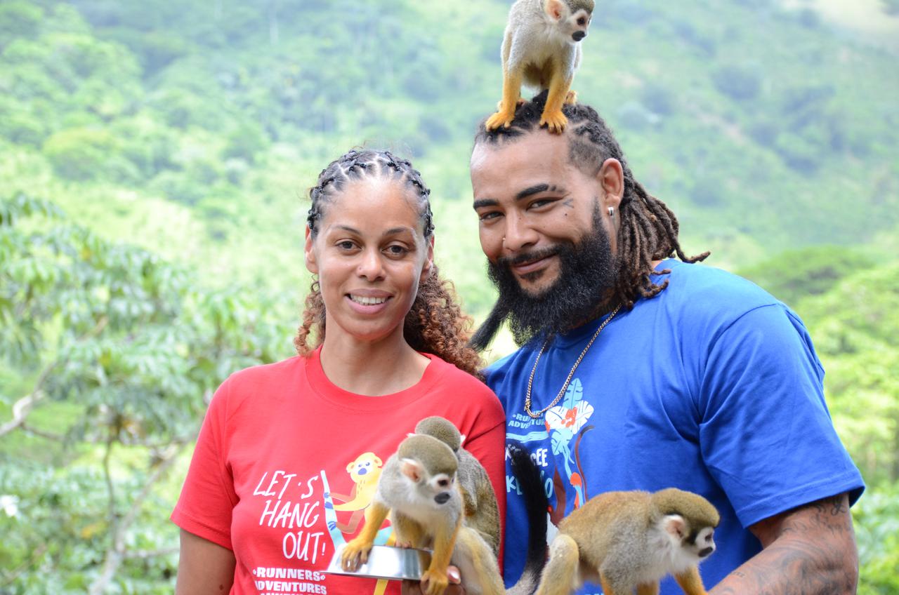 monkeyland - 2025-05-13-18-40-00-000-cm8sh.jpg