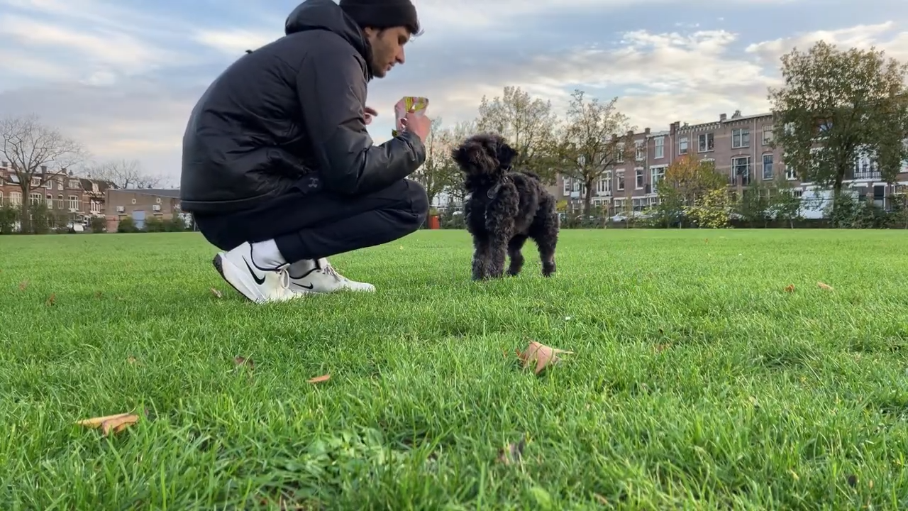 𝙁𝙇𝙄𝙋 & 𝙎𝙃𝙄𝙁𝙏𝙔 -(3).00_02_13_02.still012.png