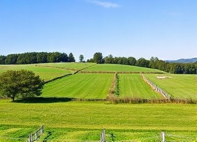 Meadow Ridge Plot