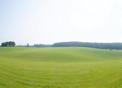 Peaceful Horizons