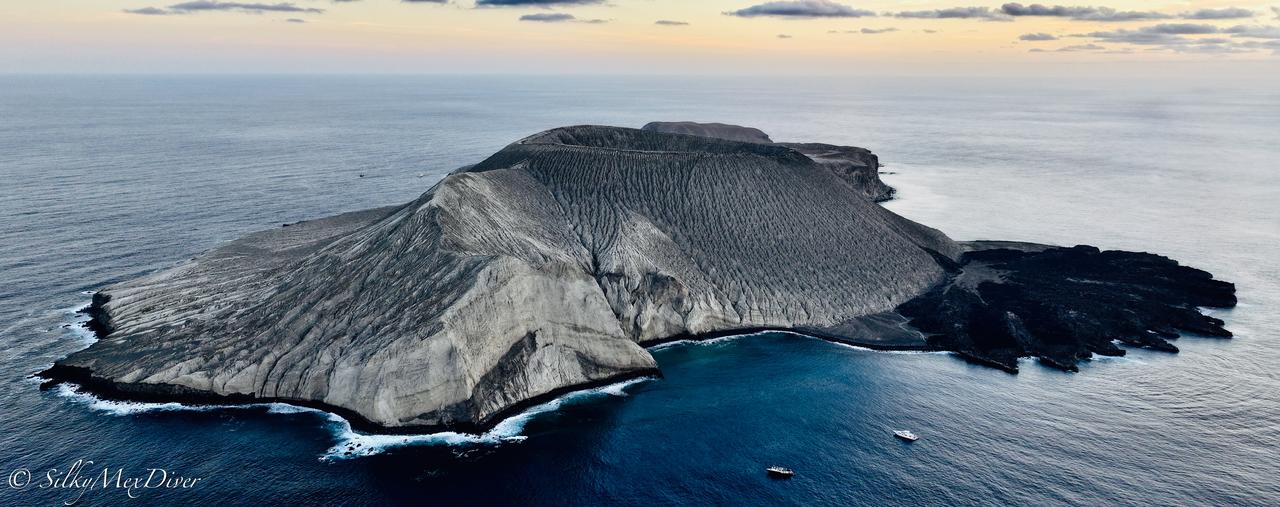Diving Expeditions