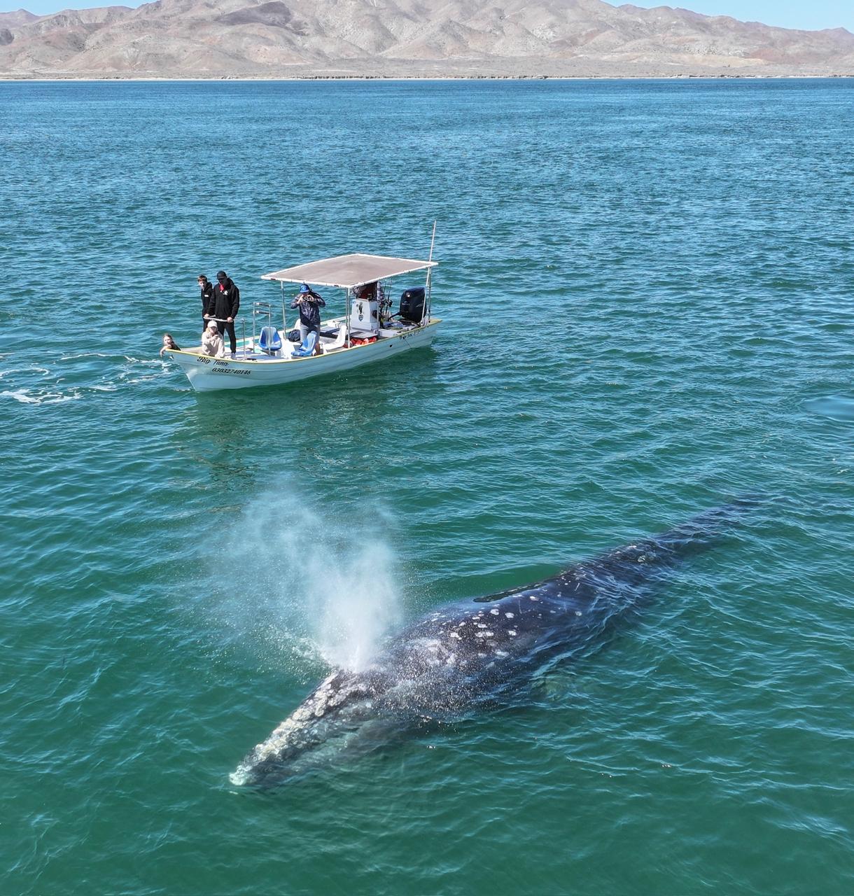 Responsible Tourism