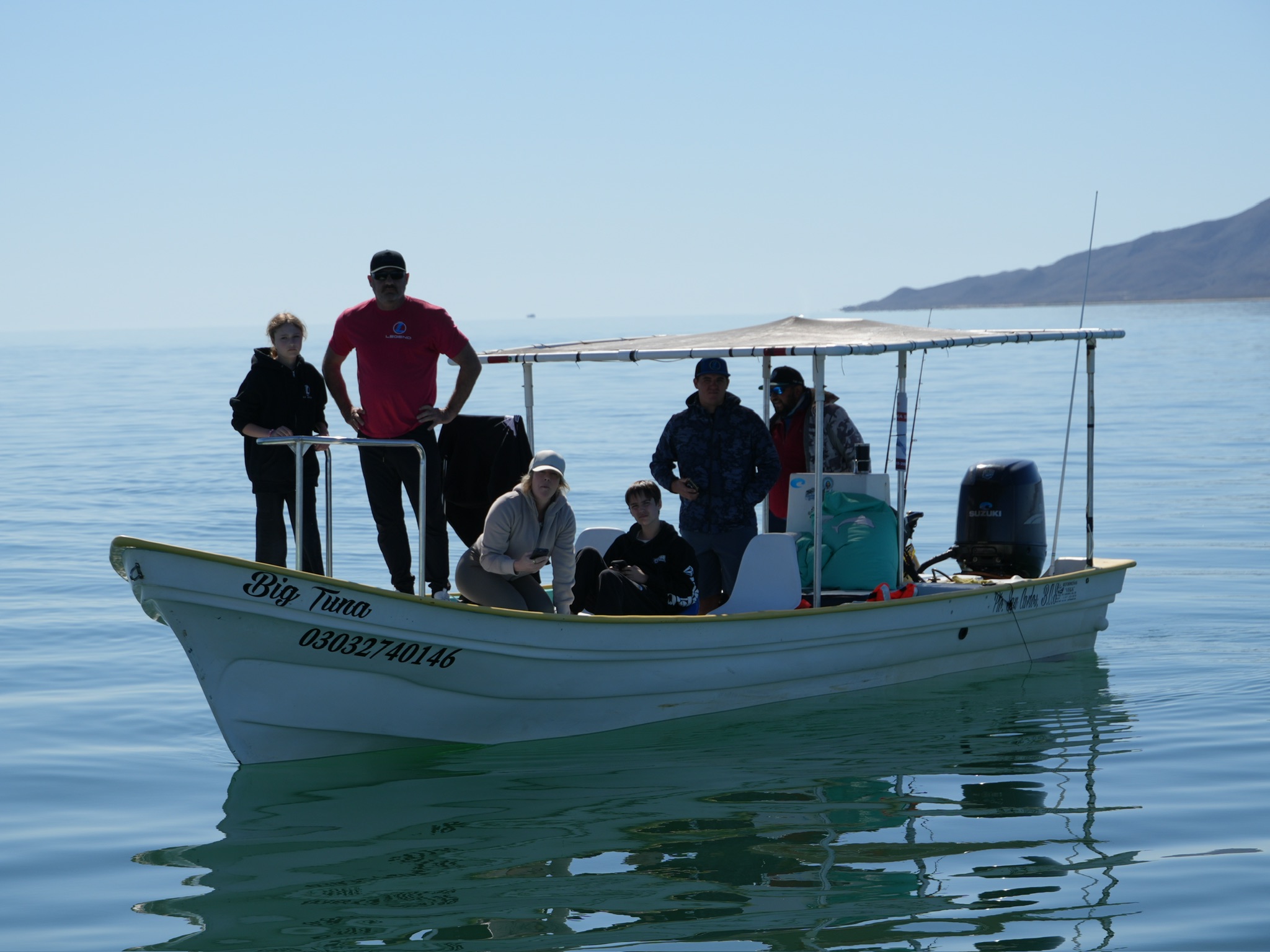 Thriving marine ecosystem showing healthy conservation practices