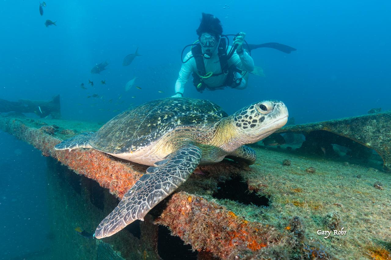 Scuba Diver