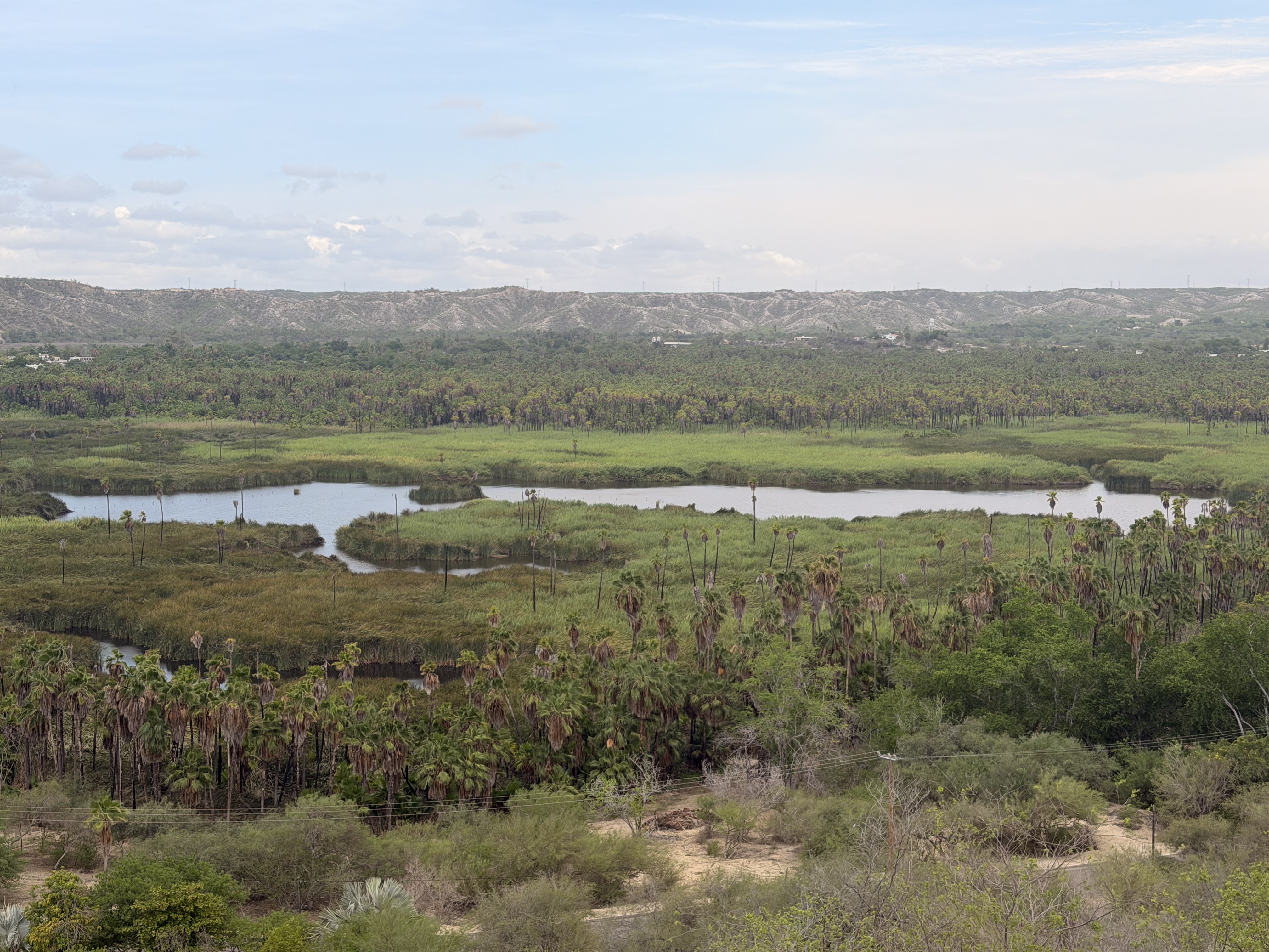 Sierra de la Laguna mountain landscape in Baja California Sur