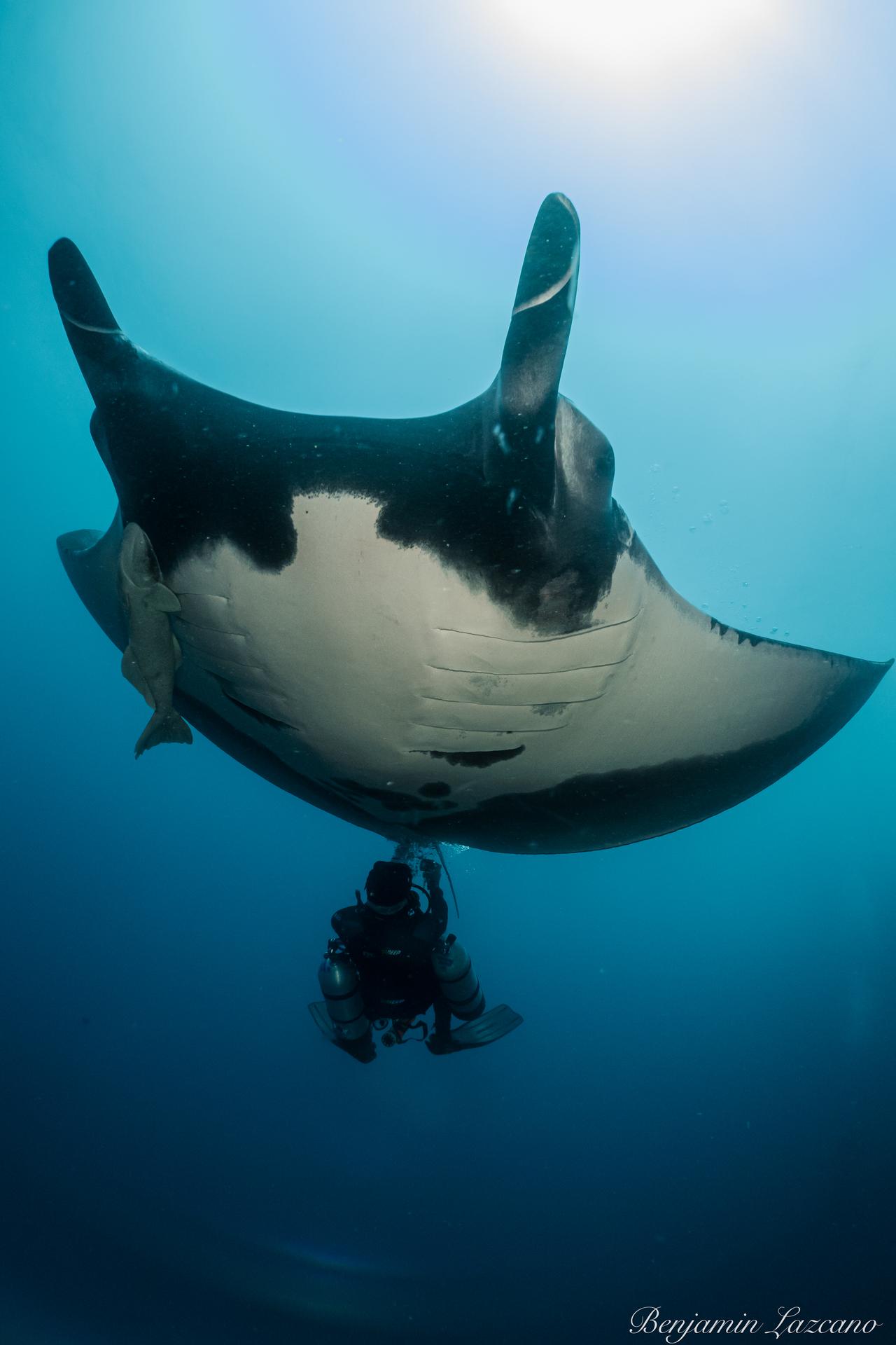 Liveaboard Expeditions
