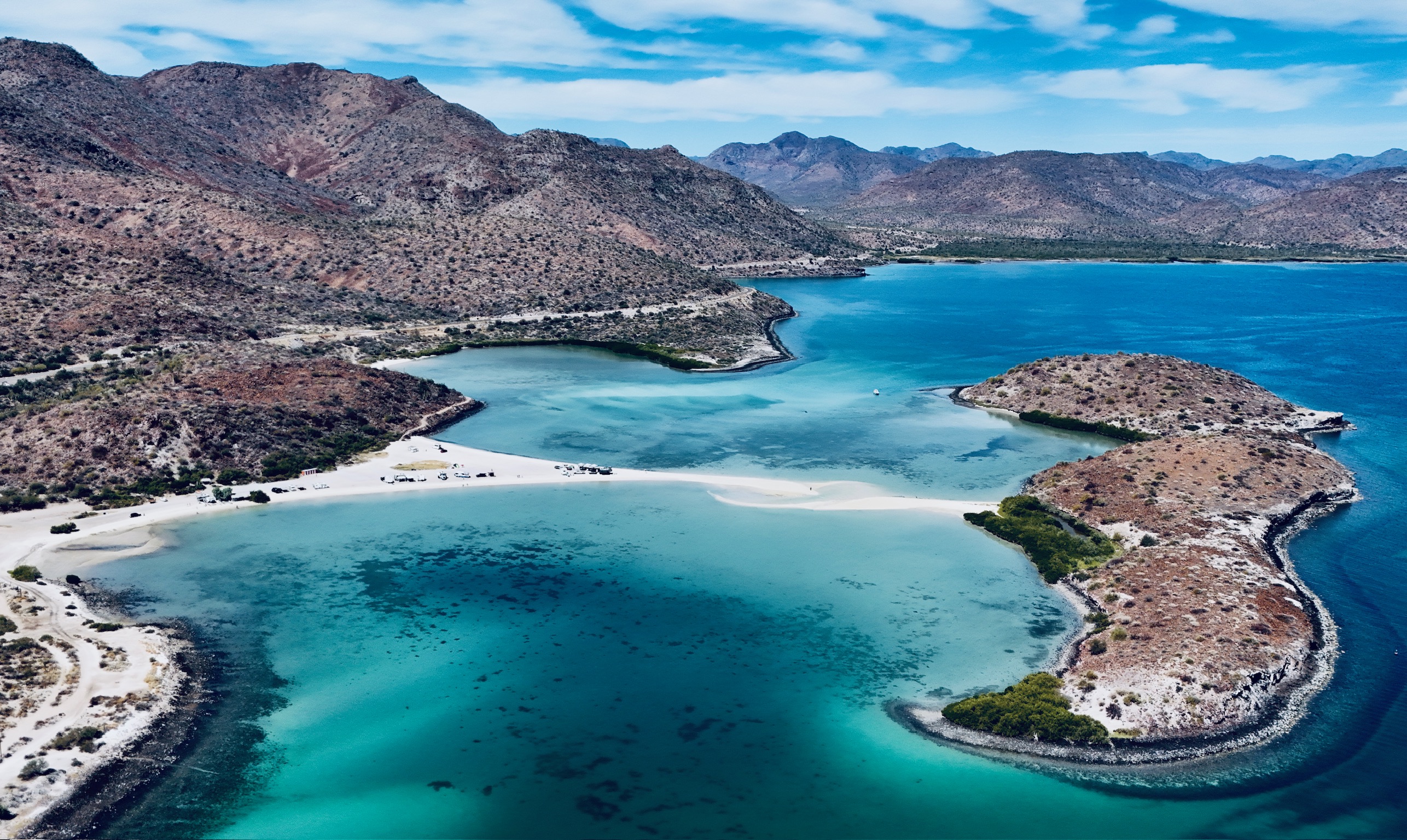 Baja California Sur Diving & Marine Expeditions