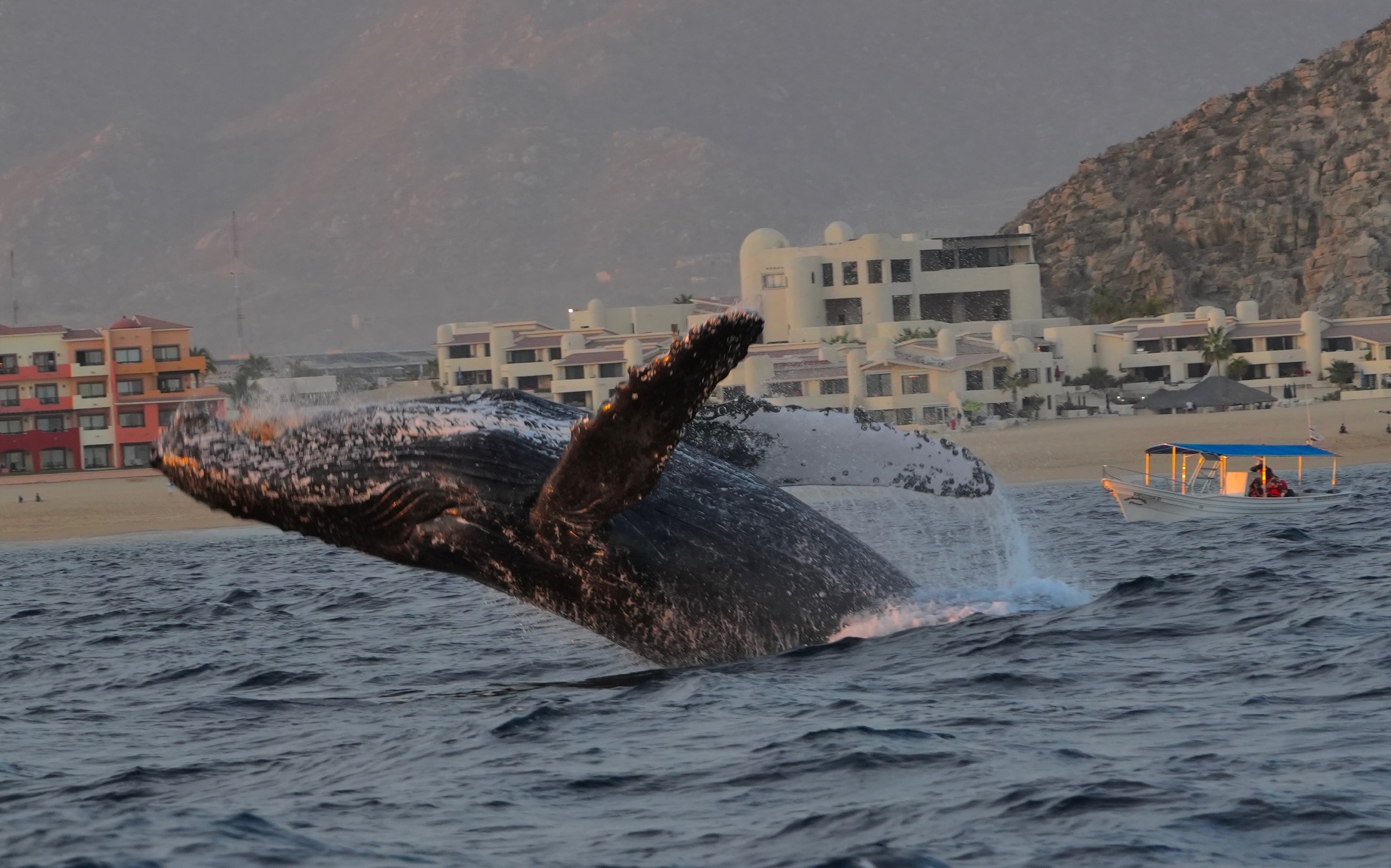Underwater rocky formations and dramatic coastal geology at Cabo San Lucas dive sites