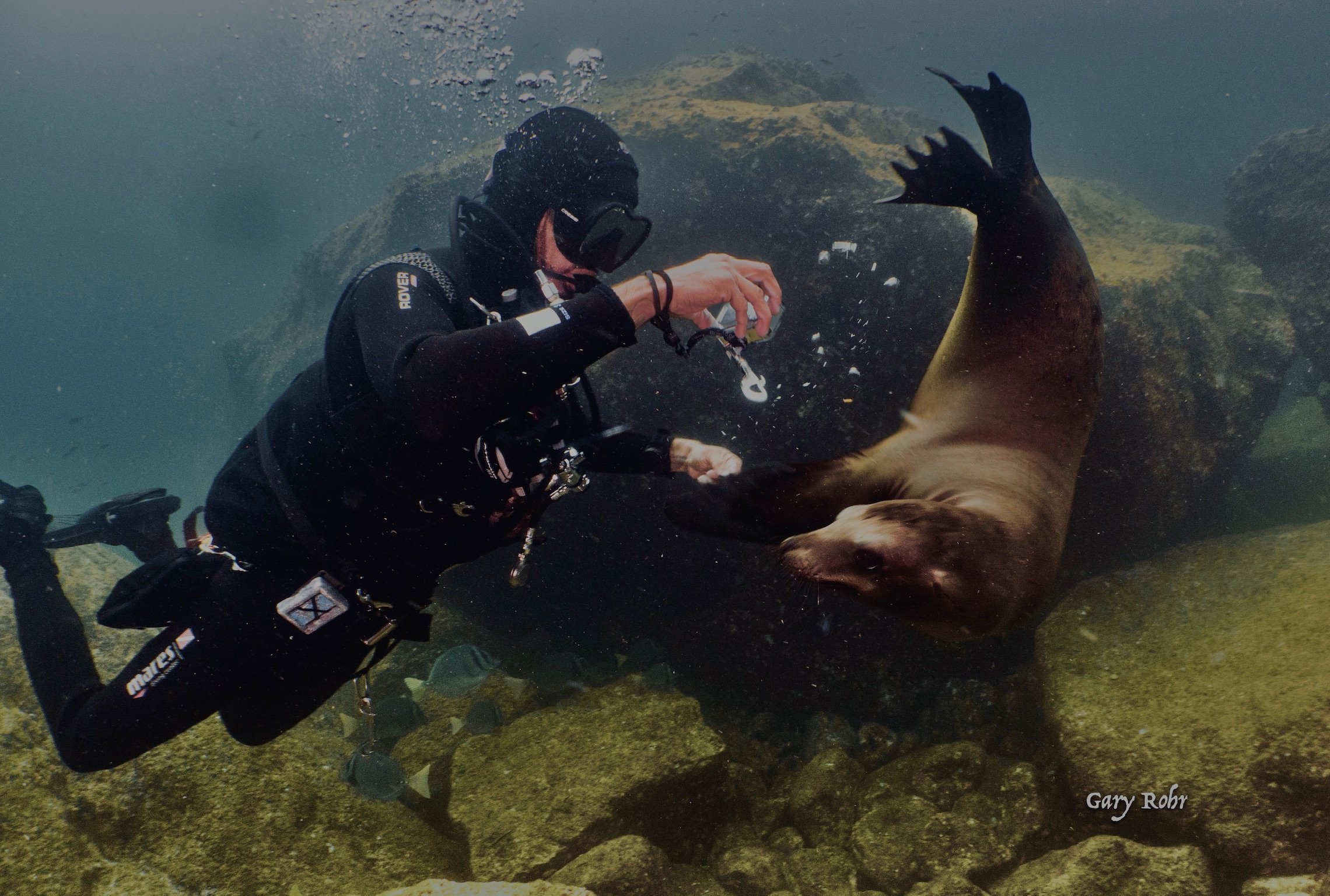 Guide's hands demonstrating ethical wildlife observation distance