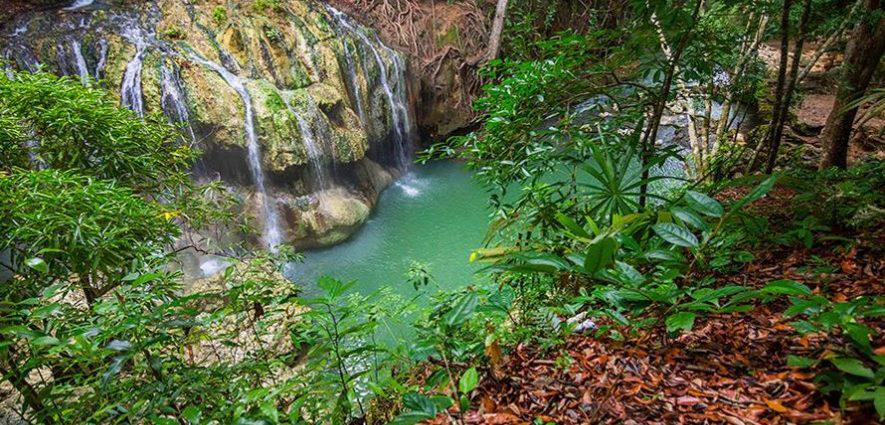 finca-el-paraiso-885x425.jpg
