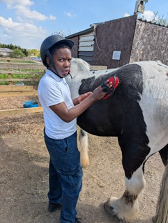 Practical animal care activity support showing real-world learning