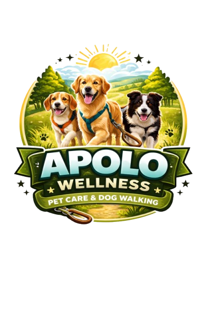 Apolo Wellness Logo