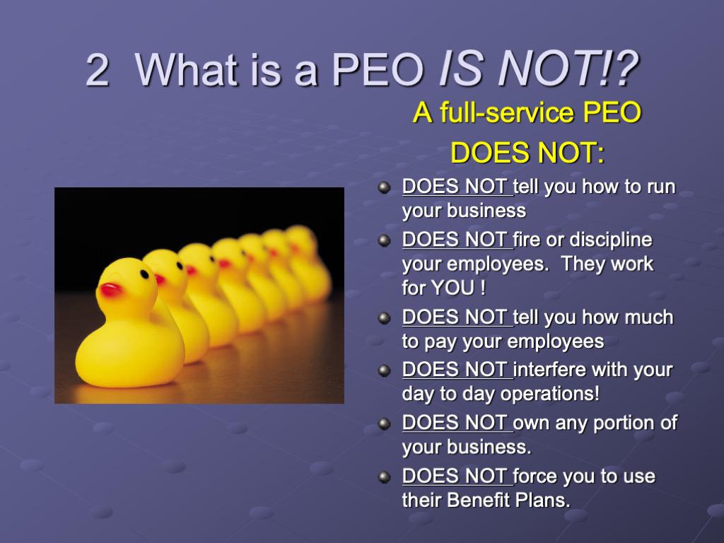 13.jpeg