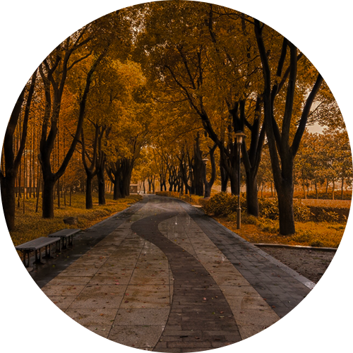 mind health item pic.png