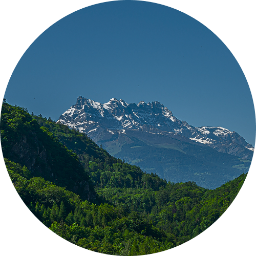 physical wellness item pic.png