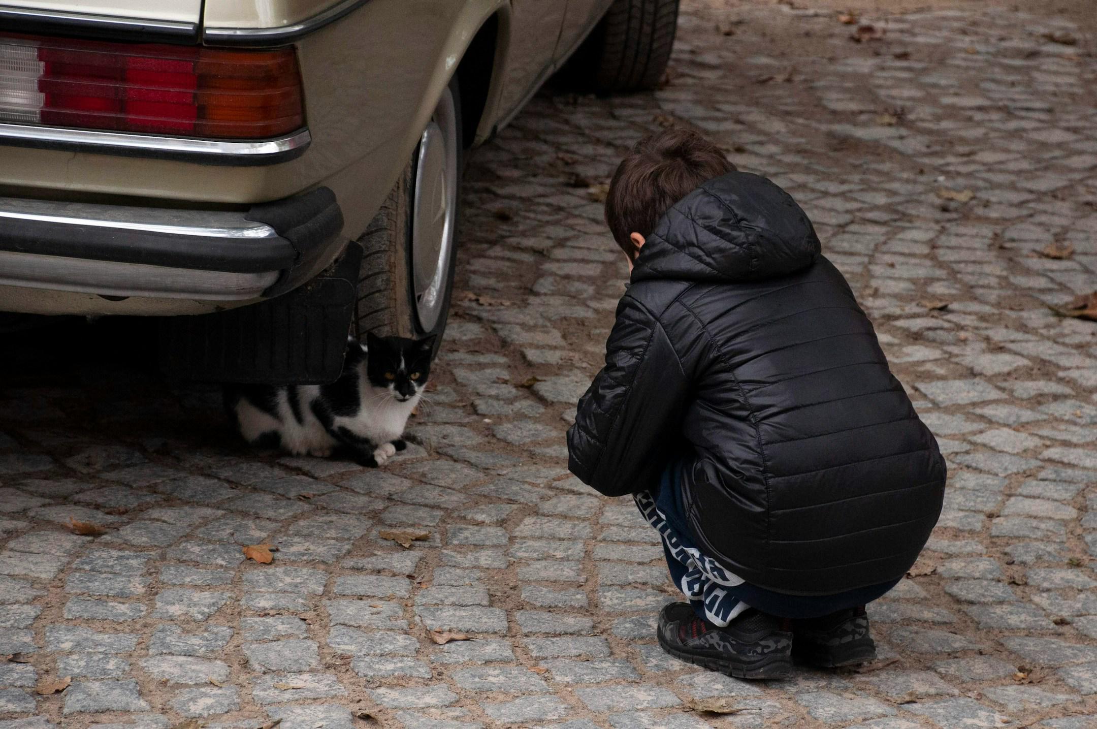this is from my trip to Melnik. The way the kid and the cat were looking at each other made me smile