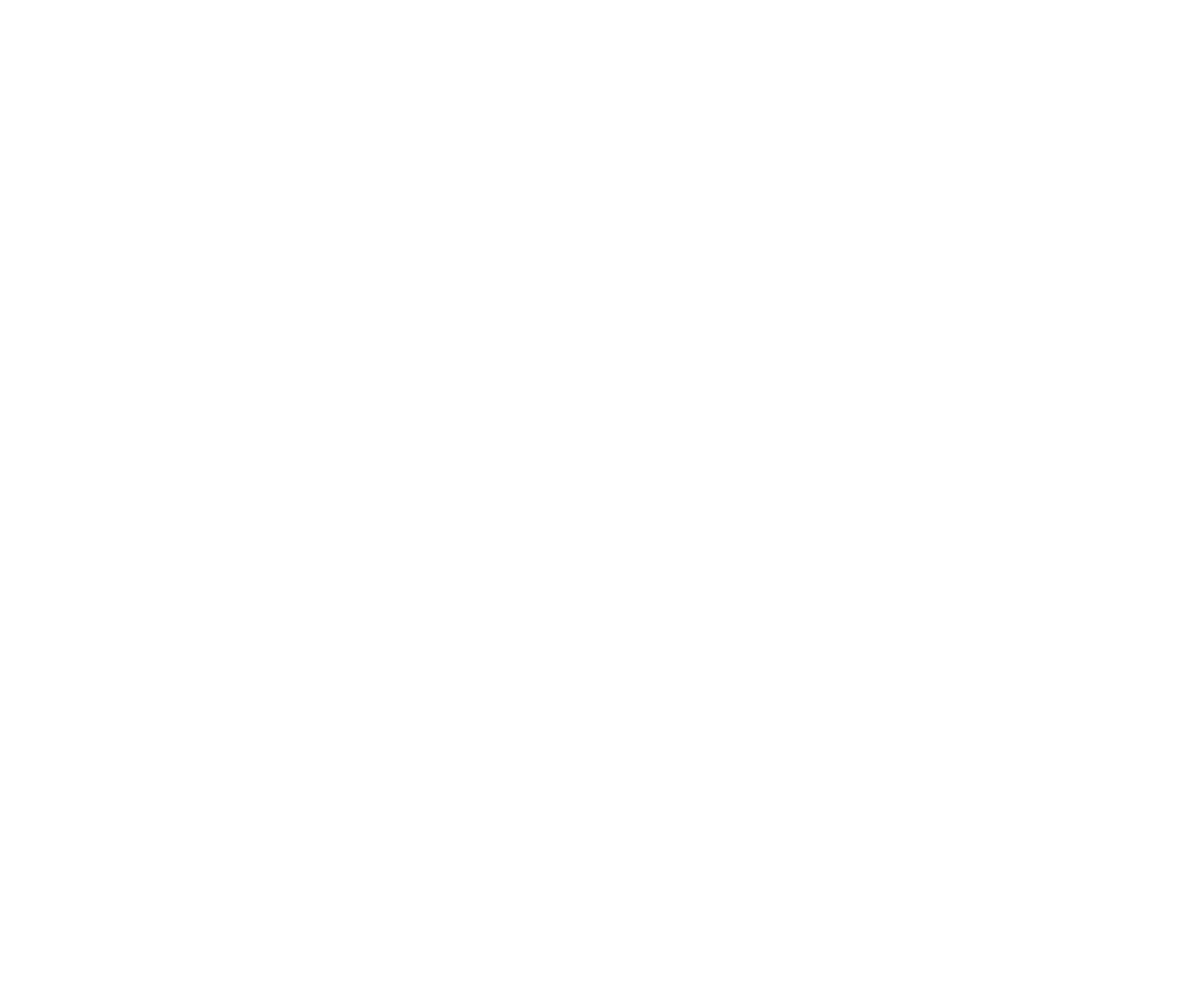 white logo - no background.png