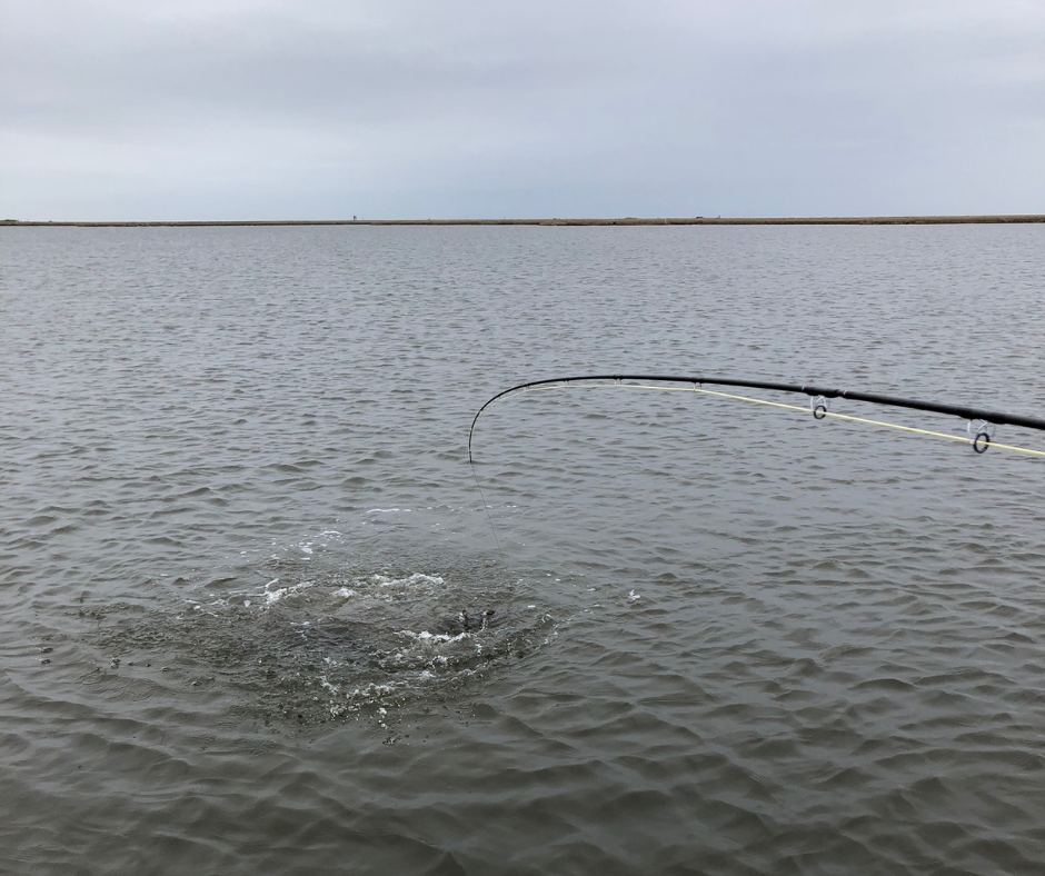 big bend in the rod.png