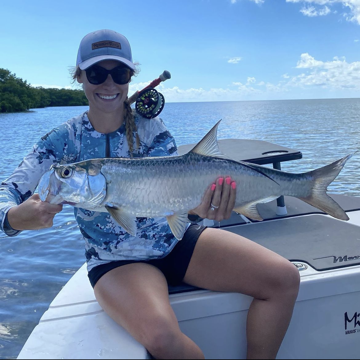 tarpon_evidence.png