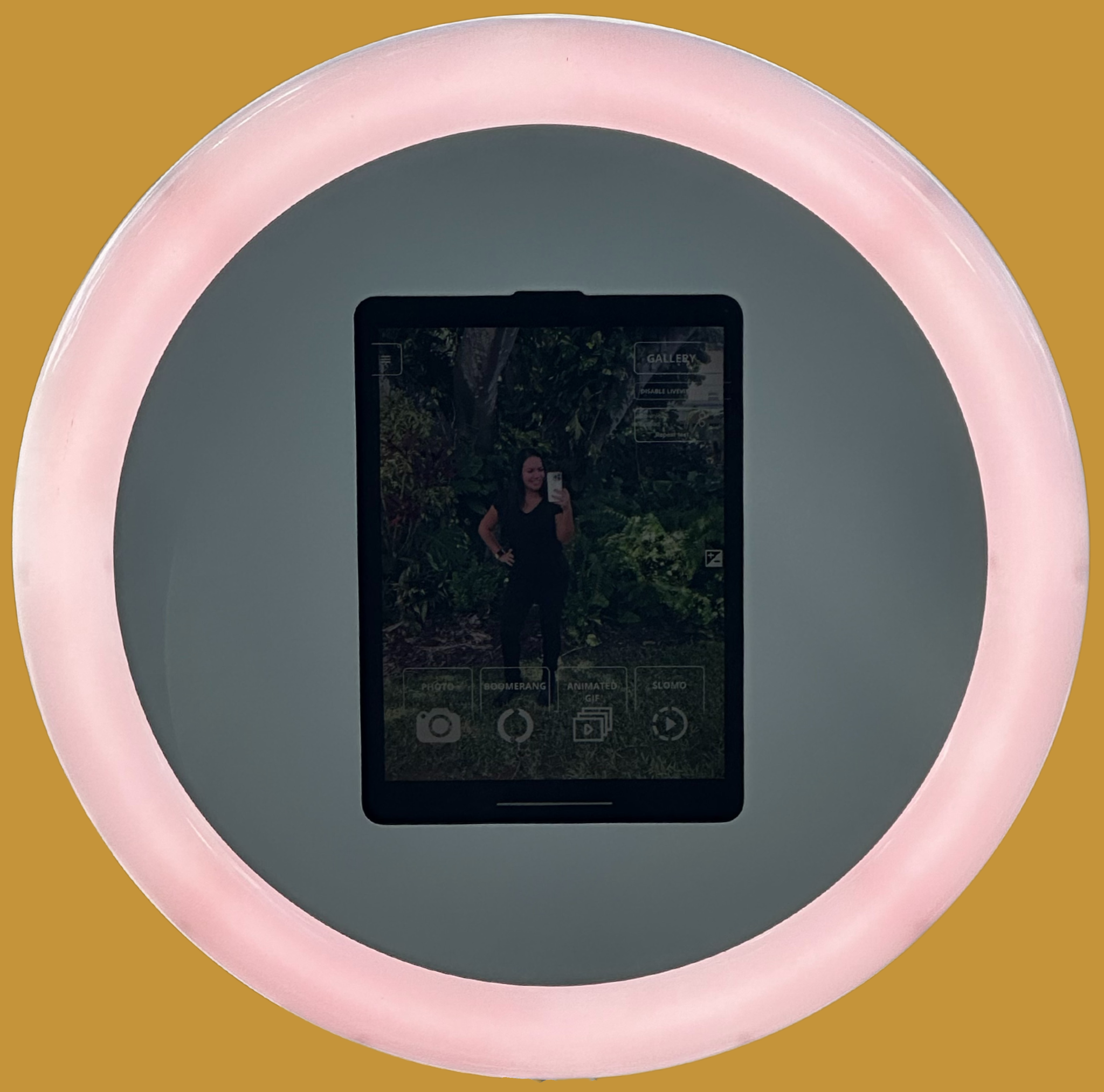 pixel roamer.png