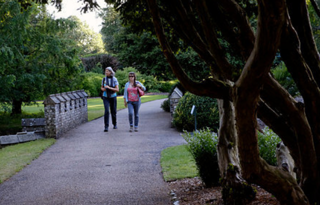 screenshot 2020-03-09 07.56.03.png