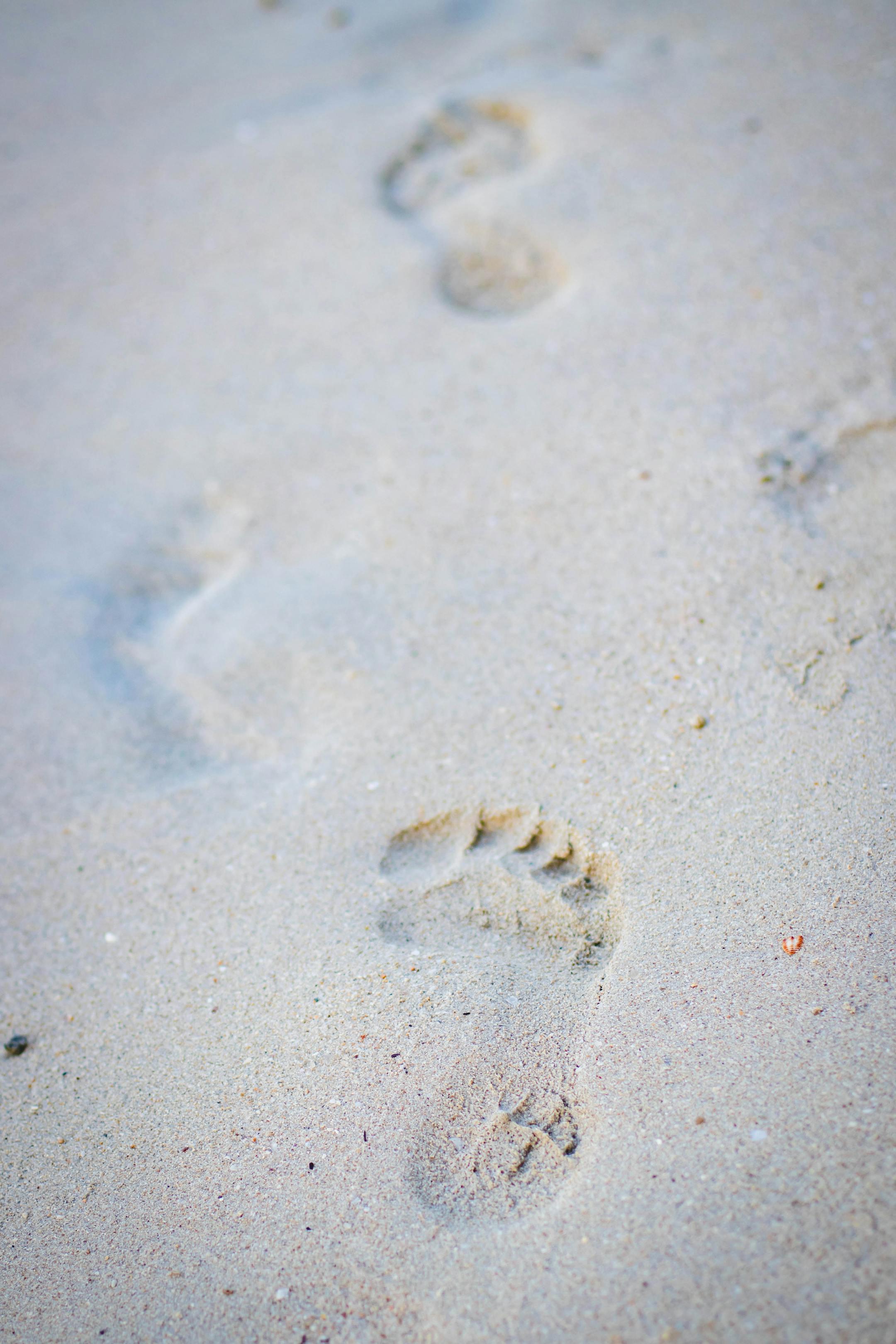 Close-up of footprints imprinted on sandy beach, conveying calm and solitude.