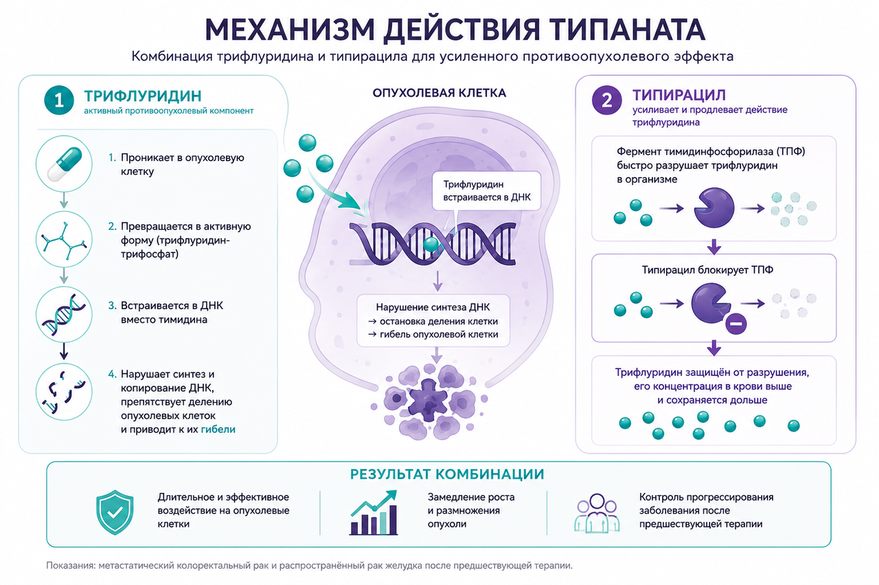 Механизм действия препарата Типанат
