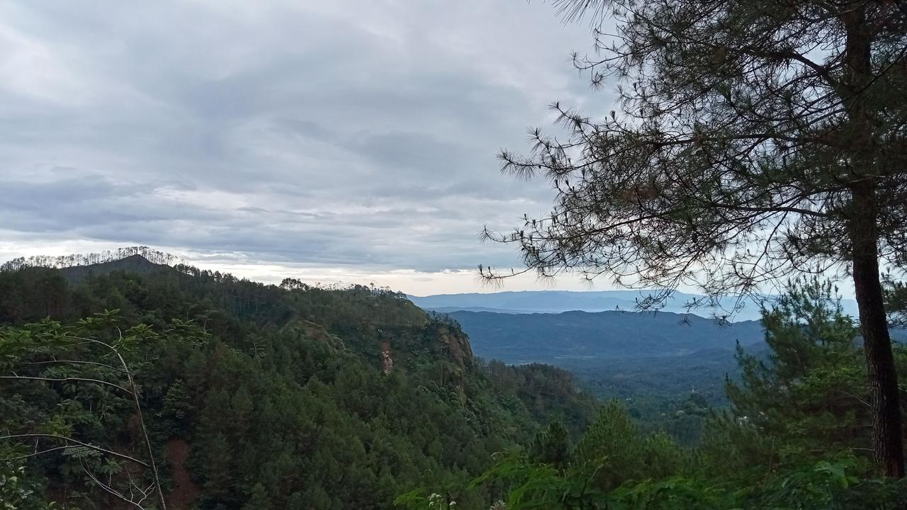 img20230227085419.jpg