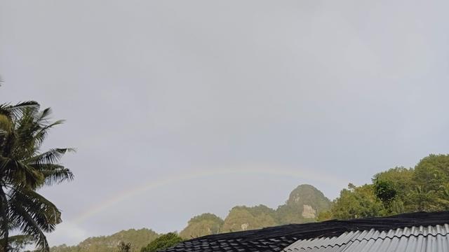 img20230217062715.jpg