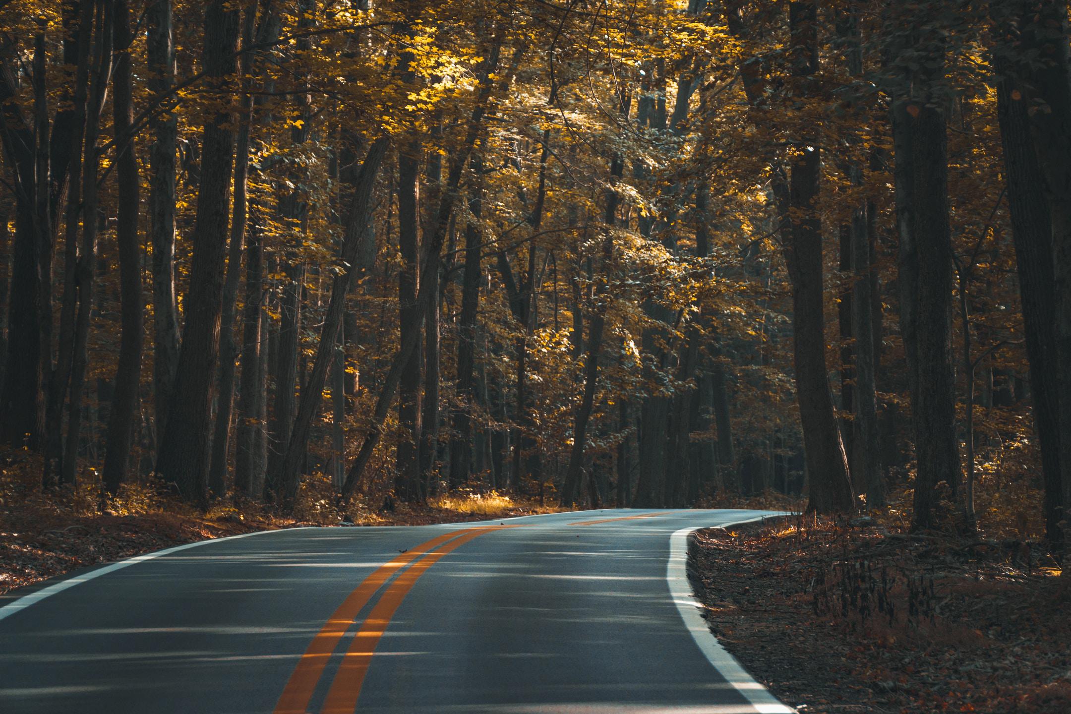 Image of a road through the woods where a car accident attorney might find work.