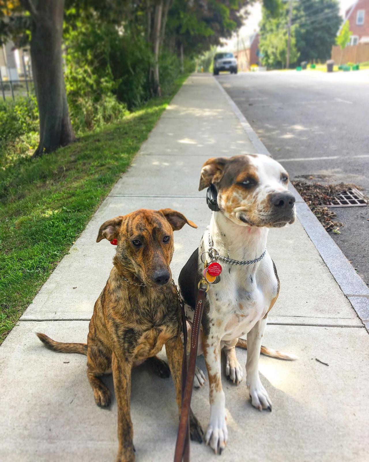 I’ve been trying a new program with Maylee  Instead