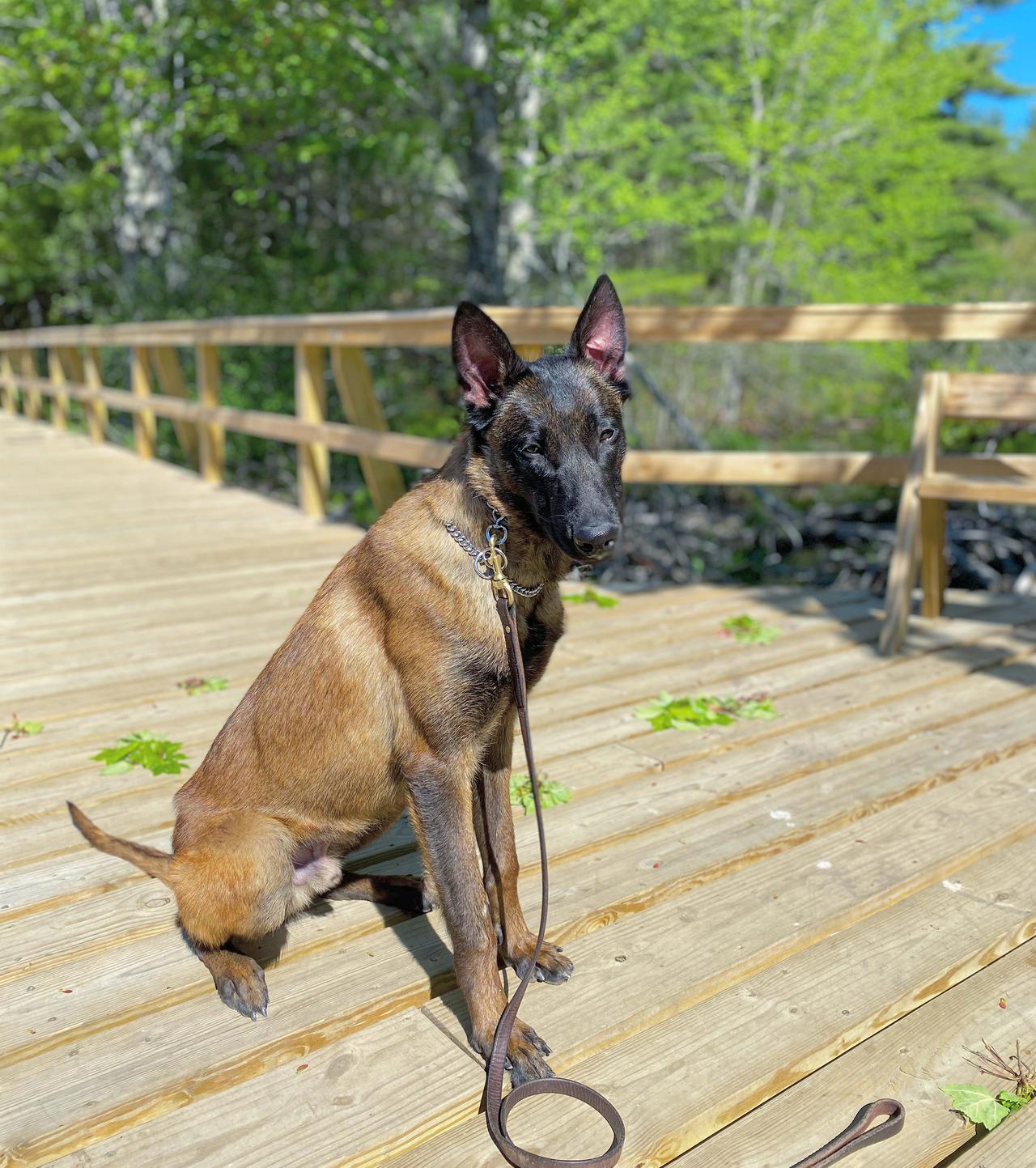 12a572c7-0909-411f-9875-c62f2a793037 2.jpeg