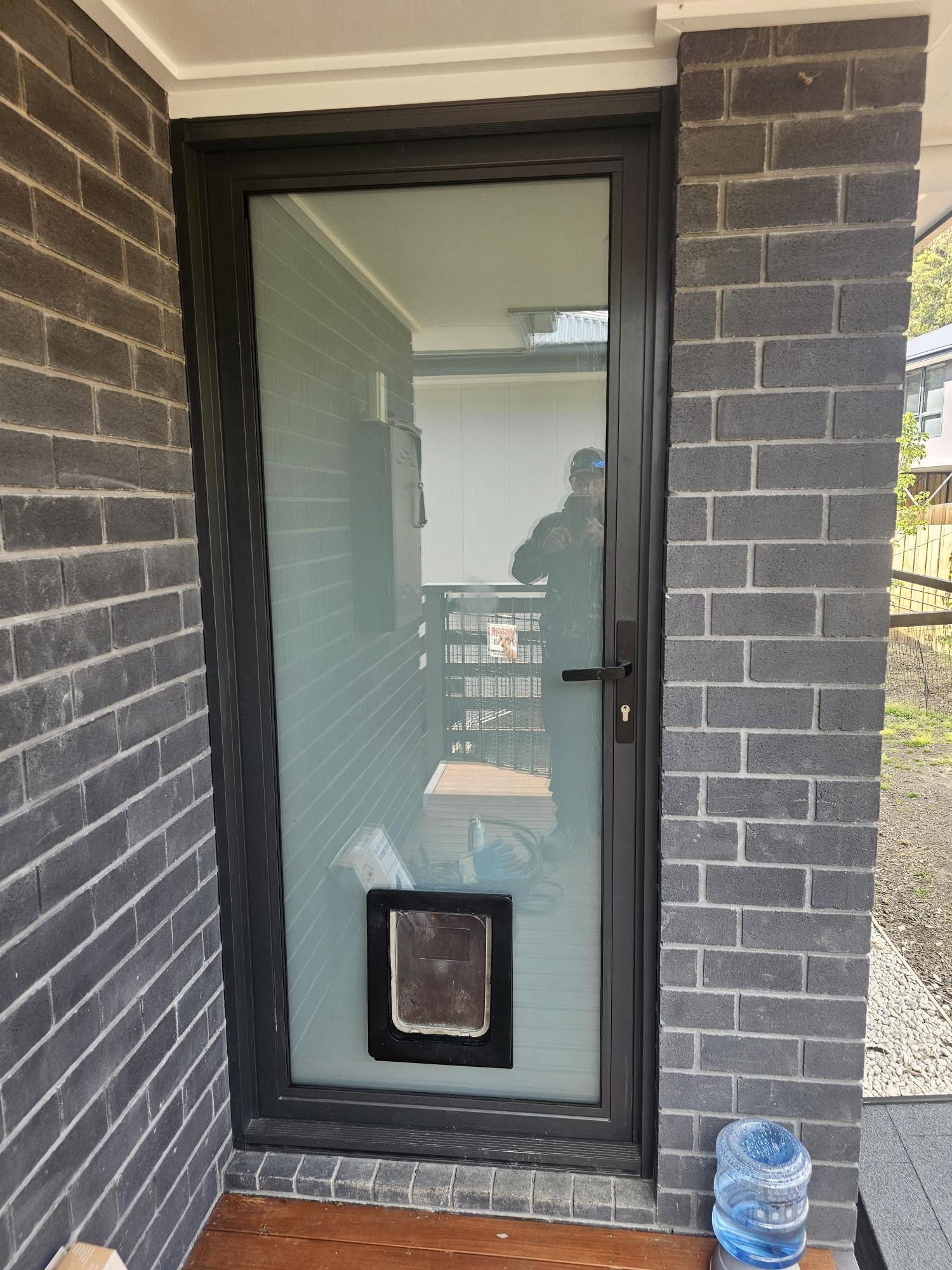 dog door.jpg