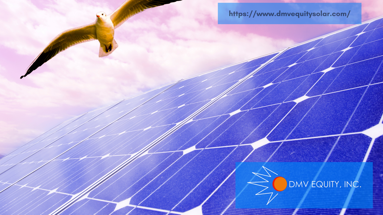httpswww.dmvequitysolar.com.png
