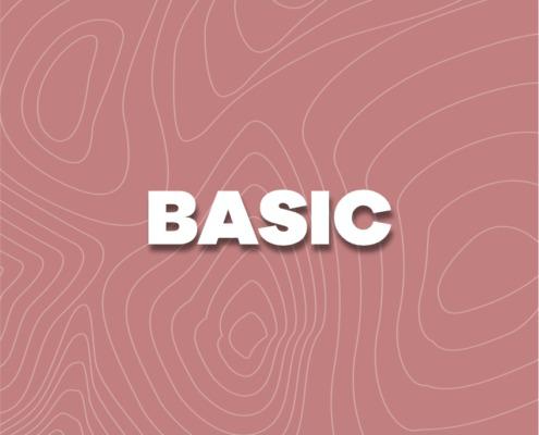 entr._basic-495x400.jpg