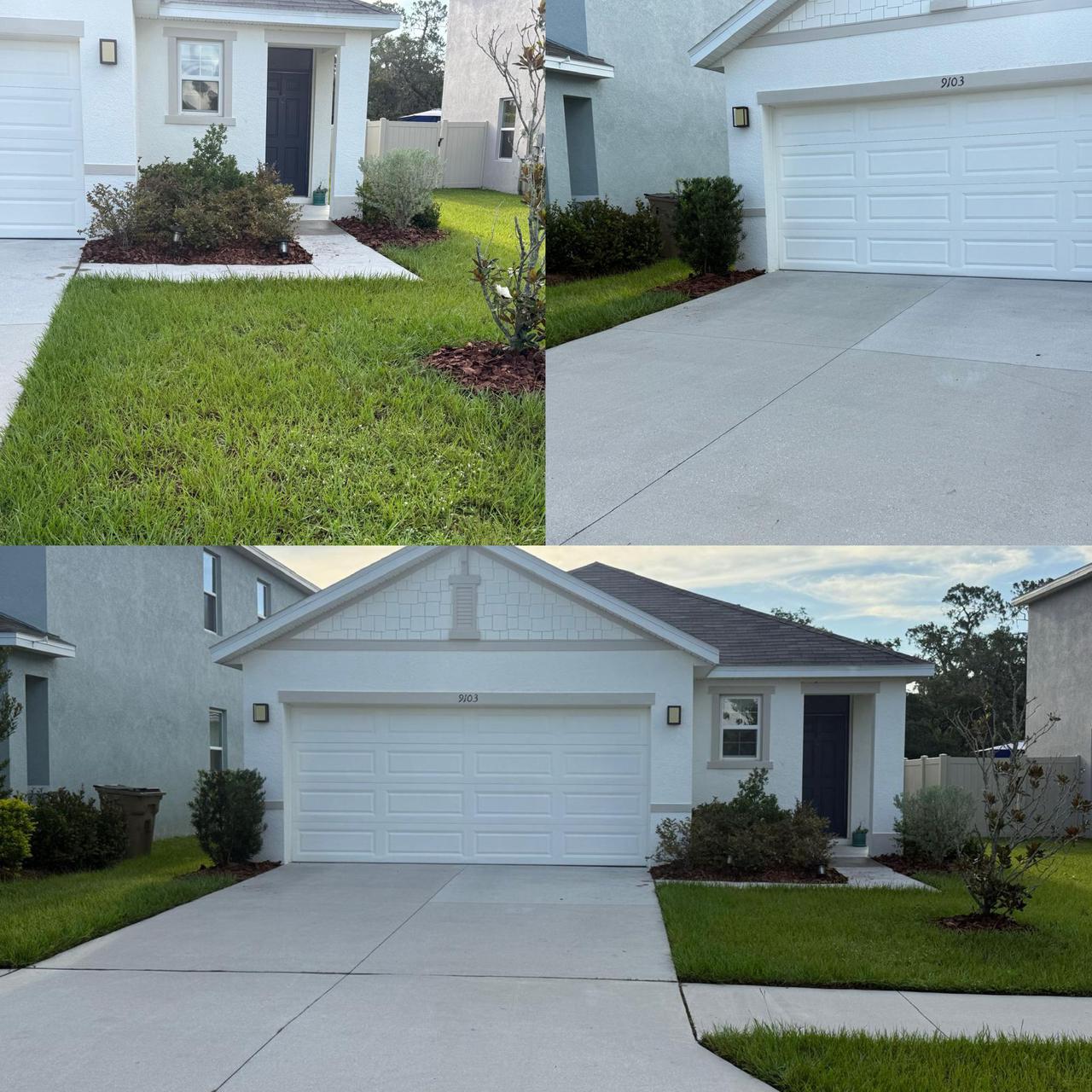 mulch project.jpg