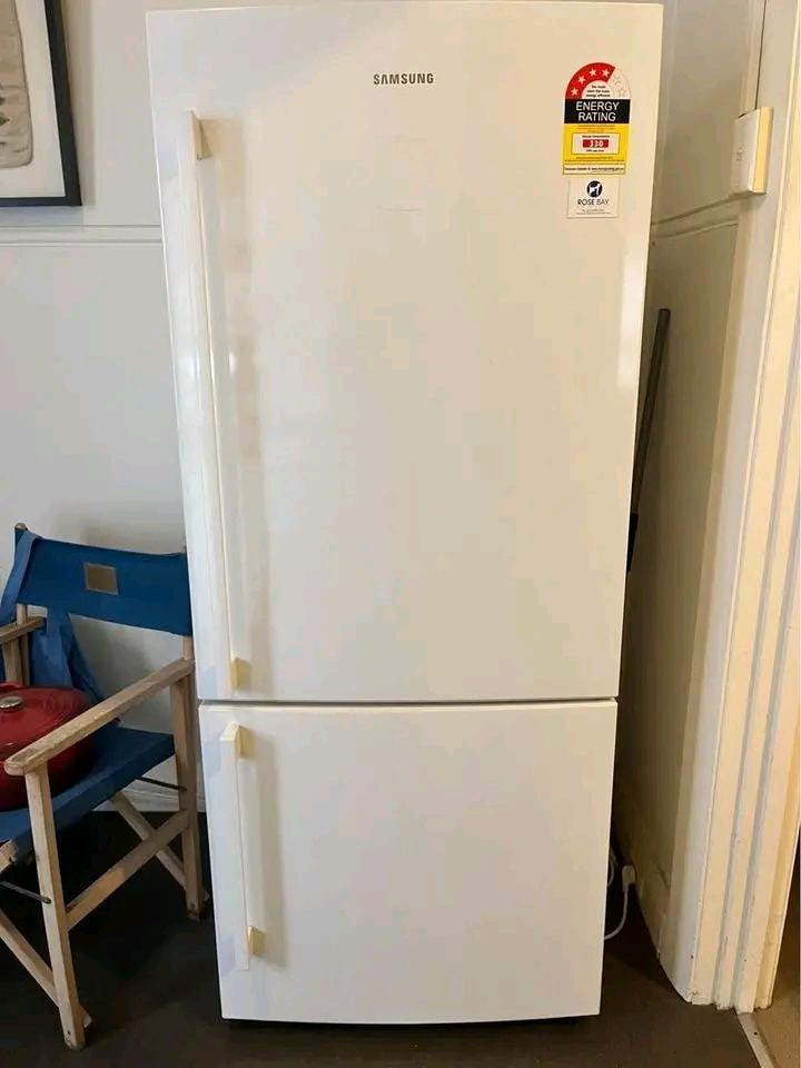 1730838465174.jpg